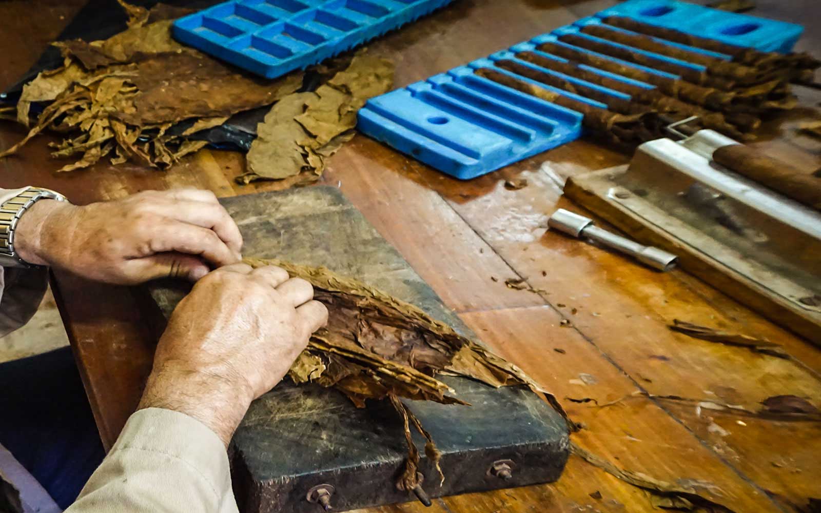 Architectural Details Partagas Cigar Factory in Havana, Cuba
